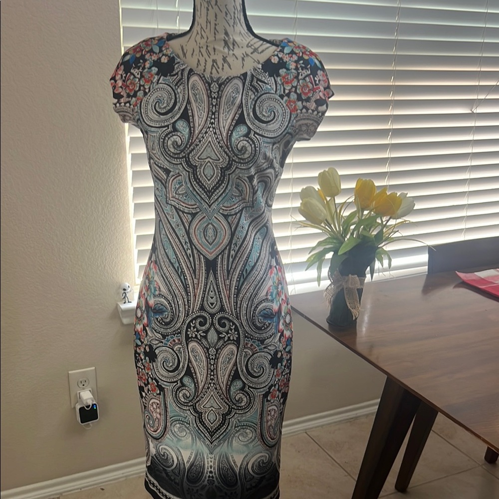 Elegant Paisley Print Dress